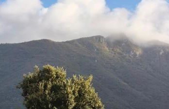 I Fiori di AminA - Foto 12