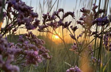 NEU! FeWo Flussland nähe SPO - Foto 10