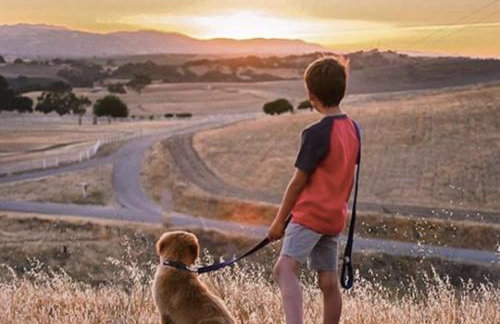 Windwood Ranch Paso Robles - Photo 44