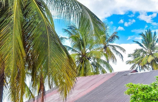 Jambiani House - Photo 38