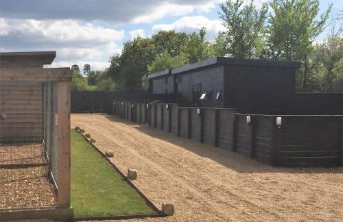 Willow Court Farm Studio South & Petting Farm, 8 mins from Legoland & Windsor, 15 mins from Lapland UK - Foto 44