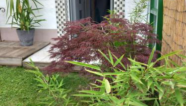 FeWo Aigner - Photo 2