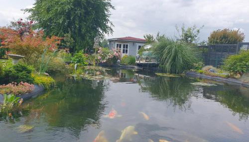 FeWo beim Oldtimer - Photo 2, Garden