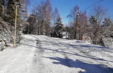 Gite Le Chalet SaintAnthème / Prabouré - Foto 65