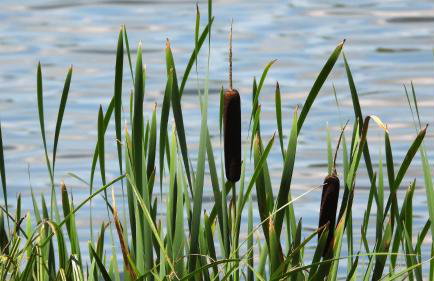 Apartament 35 Tuchola - Foto 14