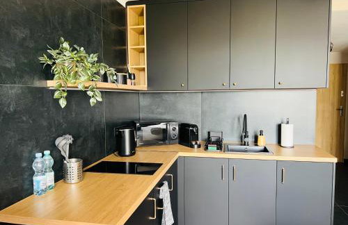 Silesian Gold Apartments - Foto 8