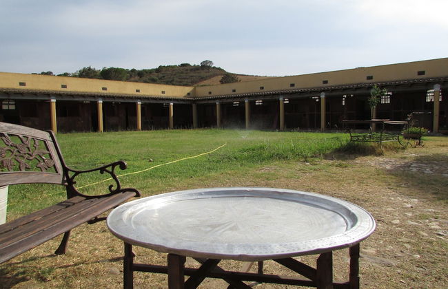 Cavalli di S'Arcaite - Foto 49