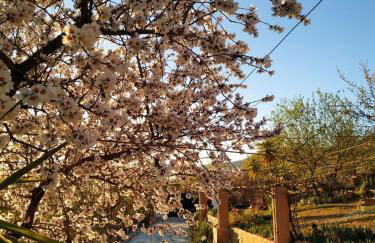 Loma Negra - Photo 46