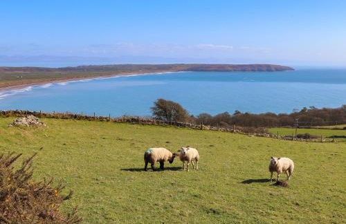 Cae'r Wylan - Foto 29