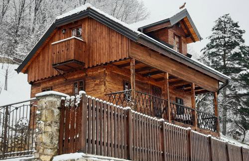 Vila Trnoružica - Foto 52