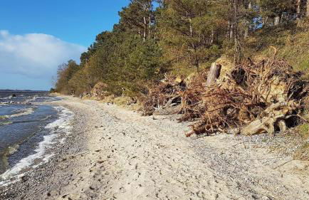 Zeit für Erholung, Ferienhaus A&C Usedom - Foto 19