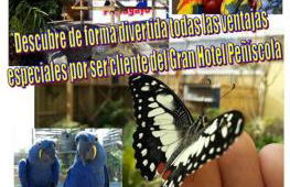 Au petit bonheur - Foto 30