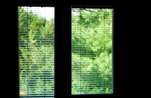 Dom z basenem nad Narwią - Foto 25