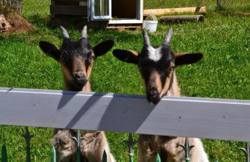 Andreashof - Foto 29