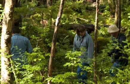 Glacier Guest Room - PRIVATE ROOM IN SHARED HOUSE REDUCED PRICE ON TOURS - Foto 49