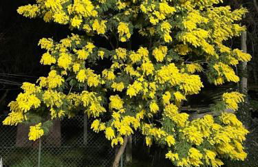 Casa Camilla - Foto 9