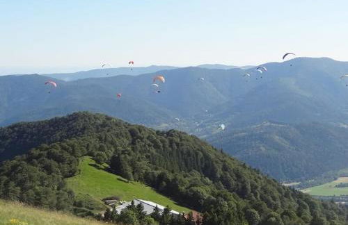 Aux Abords du Ruisseau - Foto 13