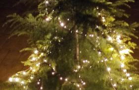 Studio Giannis, a breath away from Athens! - Foto 12