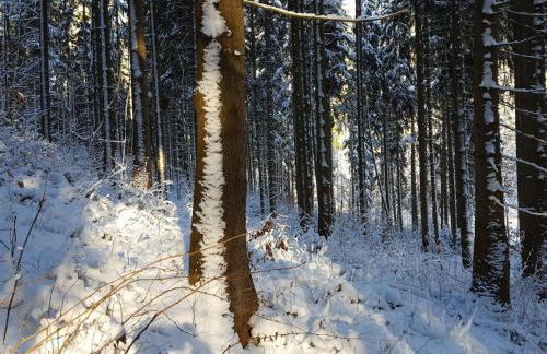 Apartment Komfortwohnung by Interhome - Foto 40