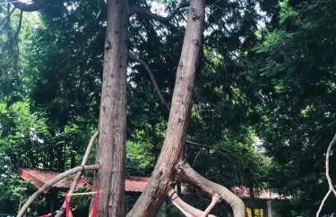 Casa della Gioia - Foto 48