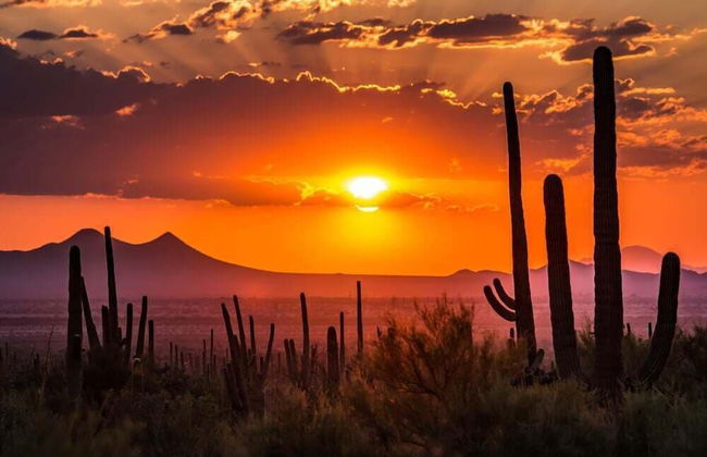 Michigan Sun Lakes - Foto 40