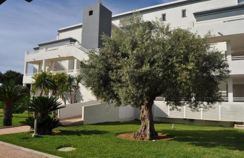 MET&GOLF OLIVA NOVA BEACH - Photo 6