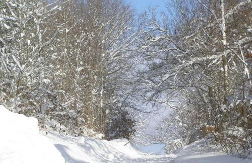 Holiday home with 3 bedrooms - Foto 30