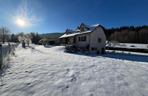 Nouveau, gîte RDVosges 5 chambres, jardin, calme, proche GERARDMER - Foto 1