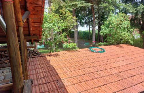 Farma Zdrowia - Foto 69