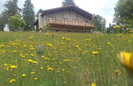 Quinta OUTONO DOURADO - Foto 73