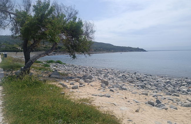 Ville Selena e Gemma - Foto 46