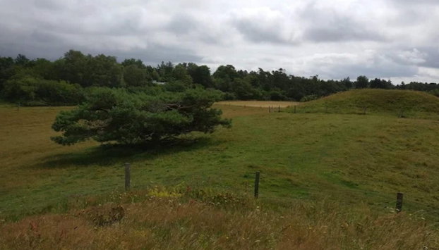 8 Person Holiday Home in Melby - Foto 5, Diversos