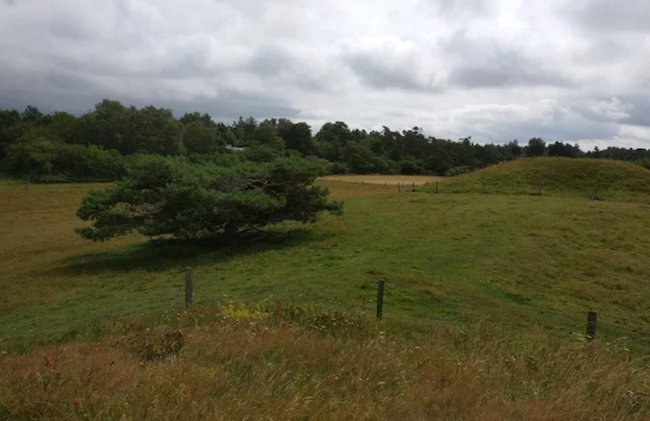 8 Person Holiday Home in Melby - Foto 5