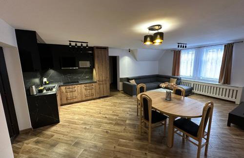 Nysa River Apartments Zgorzelec - Foto 17