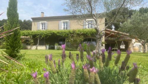 Mas Provençale entre Avignon et St Remy de Provence - Foto 3