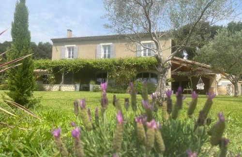 Mas Provençale entre Avignon et St Remy de Provence - Foto 3