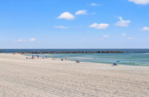 Commodore 0608 - Foto 24