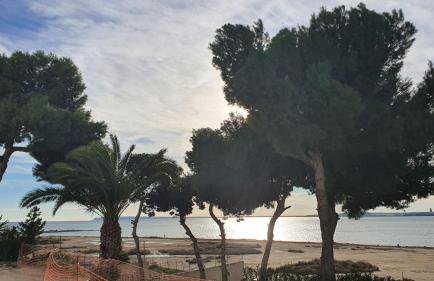 Playa Almadraba 1a Linea GAM - Foto 12