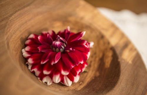 Naturresidenz Mair Zu Hof - Photo 58