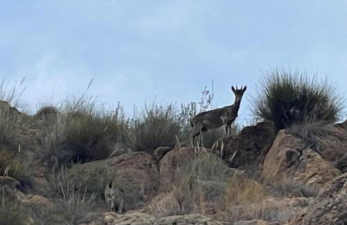 Villa Los Faramondos Naturehouse - Foto 40