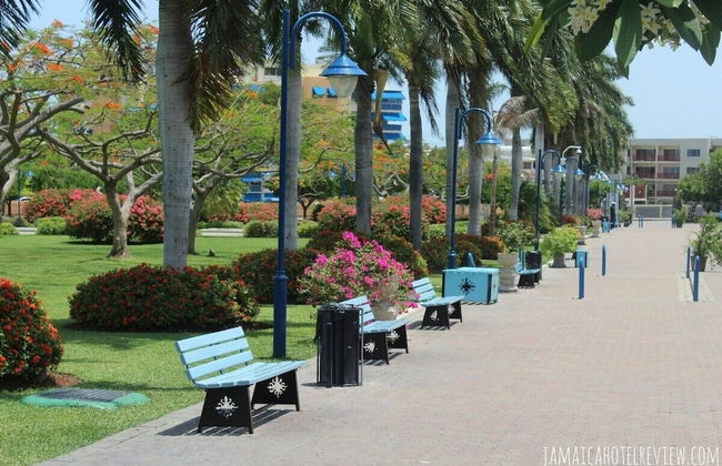 Camperdown Place - Foto 24