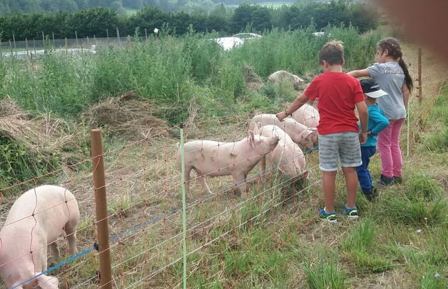 Hoamisch Modern Retreat - Foto 9