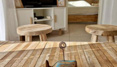 Les flamants roses de la Capte T3 - Foto 3