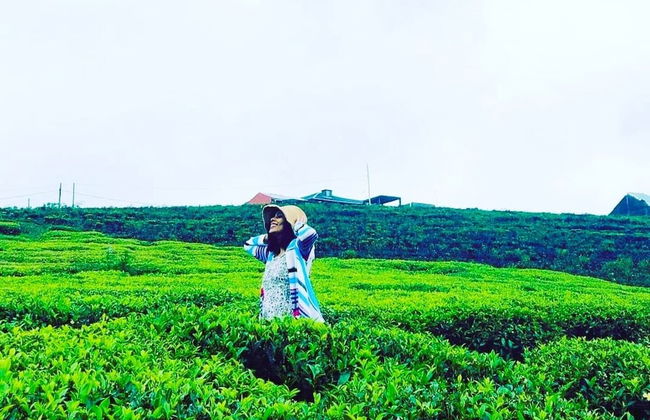 The Tea Garden - Foto 27