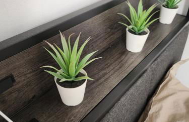 Studio Antigone centre ville - Foto 20