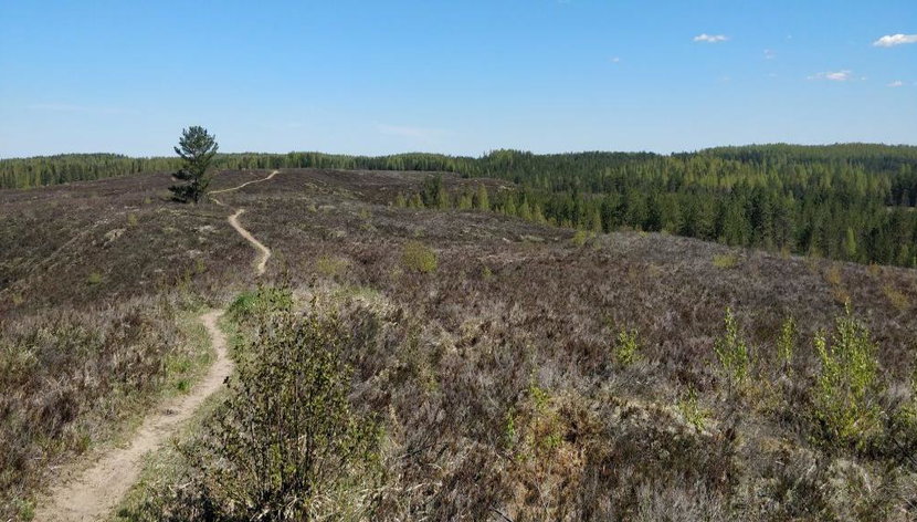 Excursión privada de día completo Go North - Foto 2