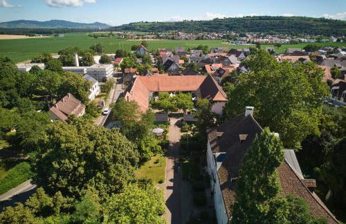 Villa Schloss Rimsingen Fine Apartments - Foto 25