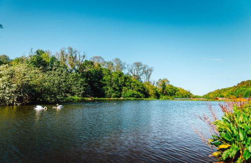 Thurston Essential Clover Caravan Pet 4 - Foto 7