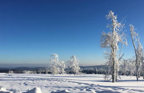 Winterberg Gruppenhaus mit Sauna ideal für Familien & Freunde - Foto 56