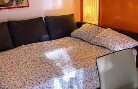 Coccolo a 10 minuti da Padova centro - Giusi - Foto 2